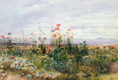 Fiori selvatici con vista su Dublino Dunleary da Andrew Nicholl